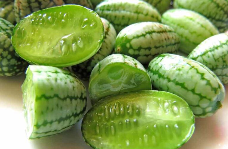 Conoce el cucamelon, el fruto que tiene la apariencia de una sandía y el tamaño de una uva