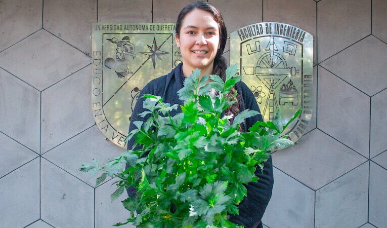 Alumna de la UAQ propone ‘plantas mejoradas’, para reducir el uso de agroquímicos
