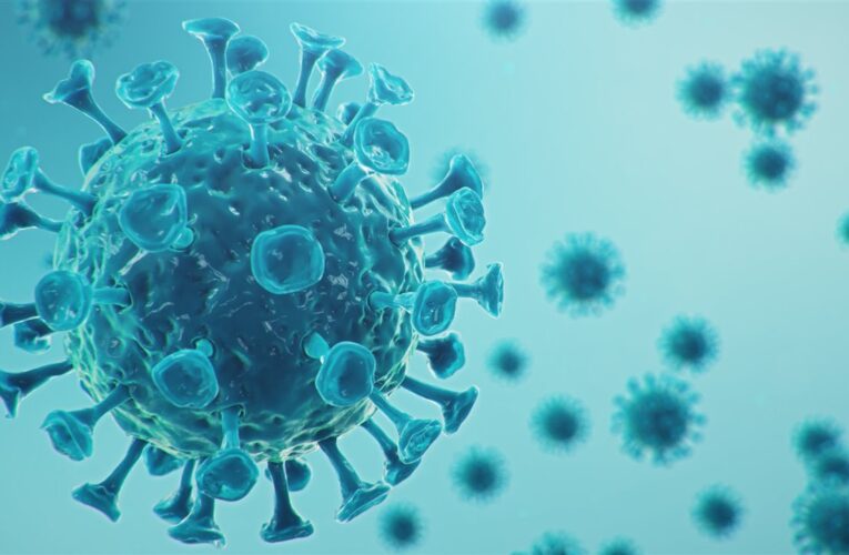 Científicos en China han detectado 30 casos de un nuevo virus